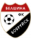Belshina Bobruisk