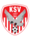 SV Kapfenberg