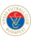 Vasas FC