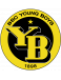 BSC Young Boys U17